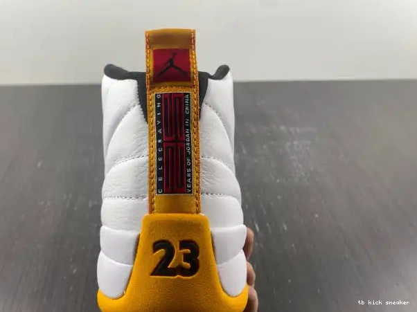 Reps TBK China Years in Air 25 Jordan 12 DR8887-100 0327